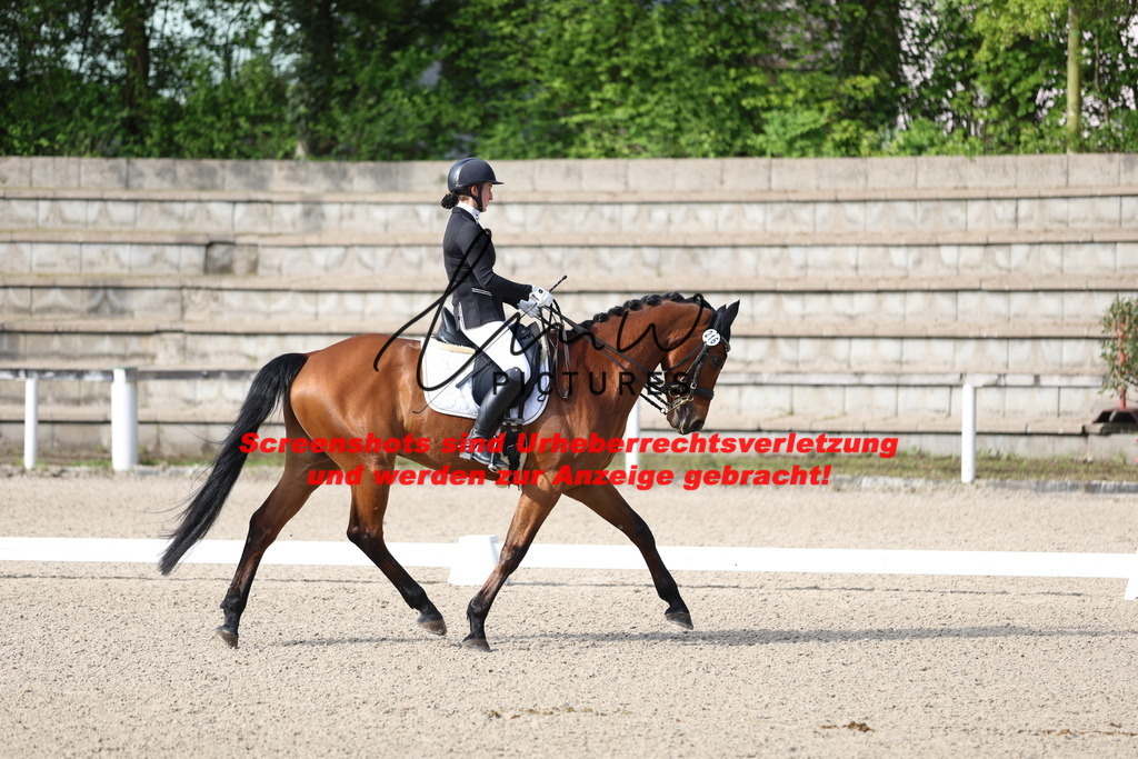 A40A3485 | lmwpictures - Realisiert mit Pictrs.com