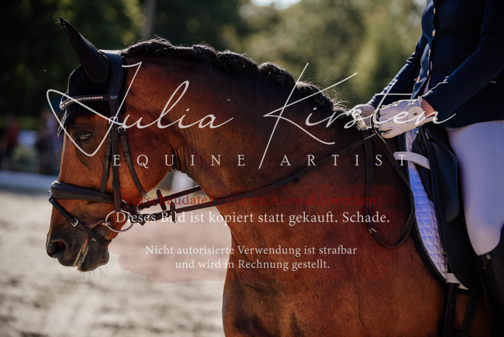 DSC_0401 | Pferde- und Turnierfotografie in Westsachsen. Pferdeportraits, Auftragszeichnungen und intuitive Kunst.