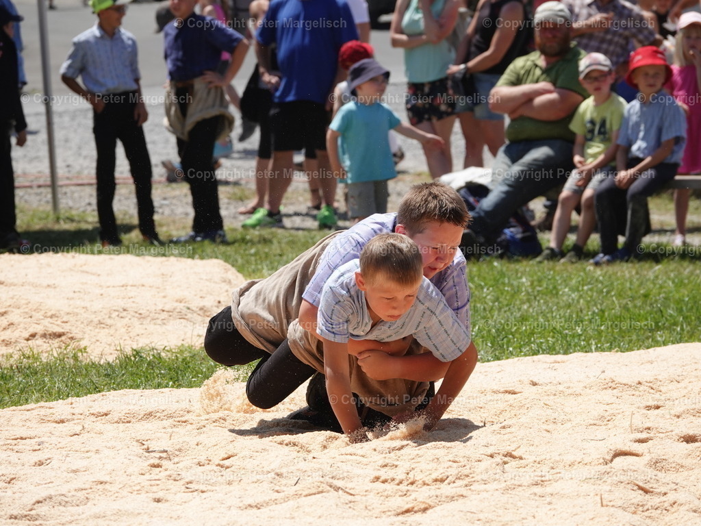 DSC04742 | Schwingen - Realisiert mit Pictrs.com