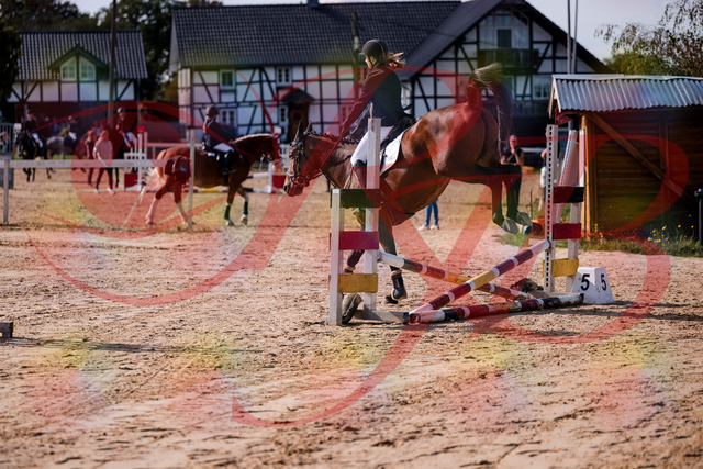 2026_10_03_Siefer-Hof_143535_Z81_04362513 | Professionelle Reitsport-, Turnier- und Eventfotografie von Robert Broda. Galerien mit ausgewählten und bearbeiteten Bildern direkt online ansehen und bestellen.