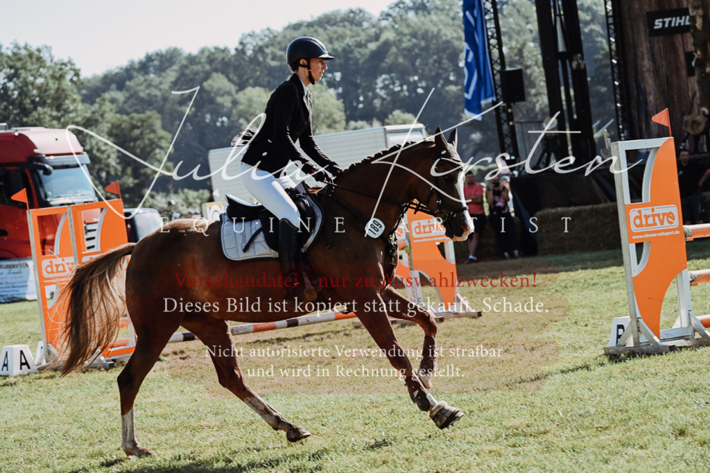 DSC_5401 | Pferde- und Turnierfotografie in Westsachsen. Pferdeportraits, Auftragszeichnungen und intuitive Kunst.