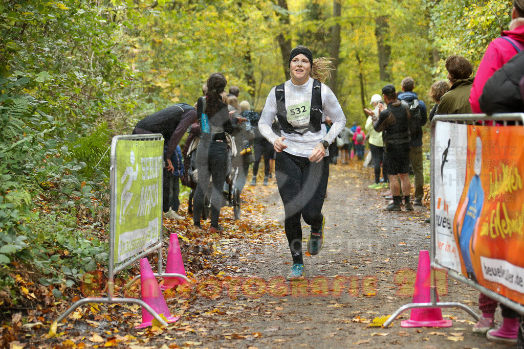 251026_1302_EX1_2326 | Sportfotografie im Rhein-Sieg Kreis, Köln, Bonn, NRW, Rheinland Pfalz, Hessen, etc. Unser Tätigkeitsfeld umfasst den Laufsport vom Volkslauf über den Marathon, Duathlon, Triathon bis zum Ultralauf wie Kölnpfad Ultra oder Schindertrail.