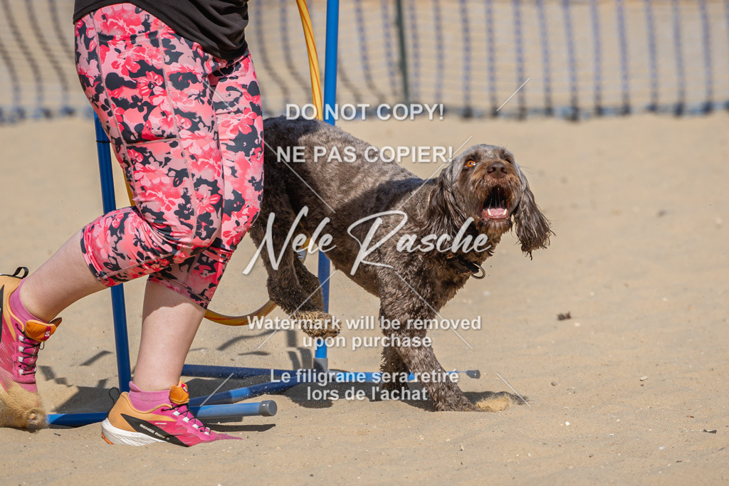 nelerasche_saBeachility_361 | nelerasche