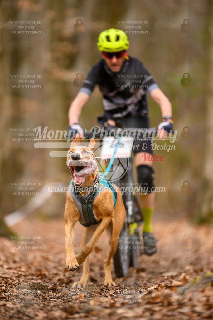 MompixPhotography_Habay2025_SA_Bike-40 | PayLife