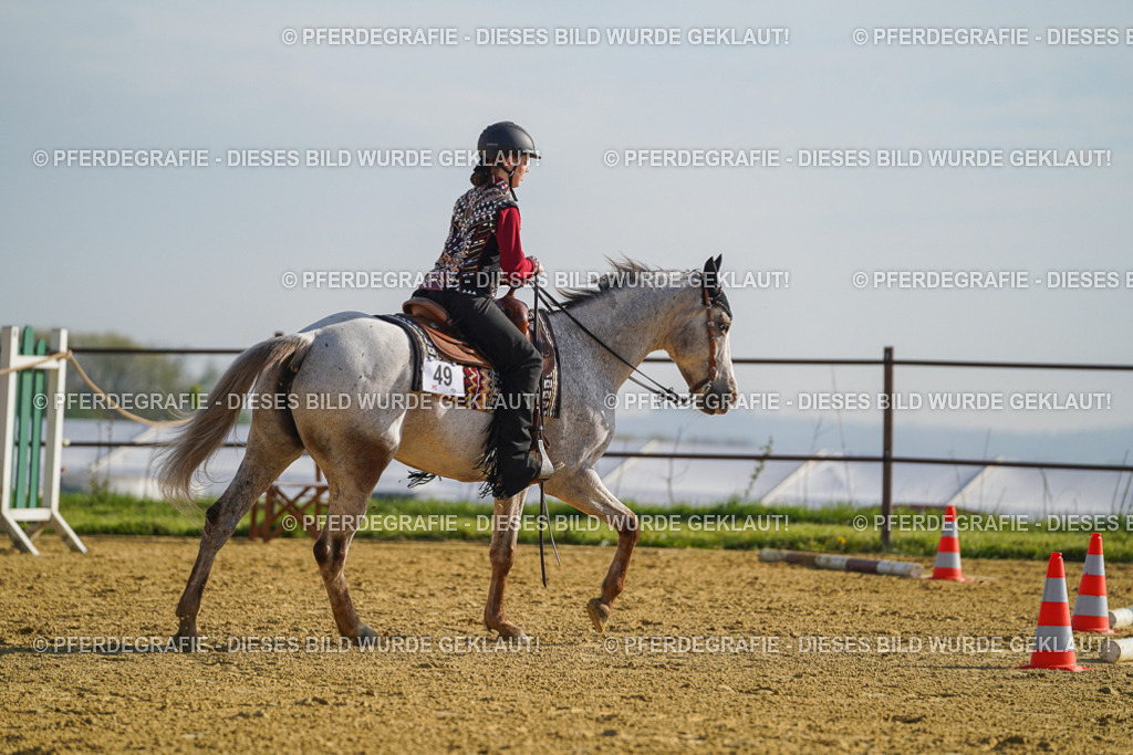 DSC00832 | Pferdegrafie