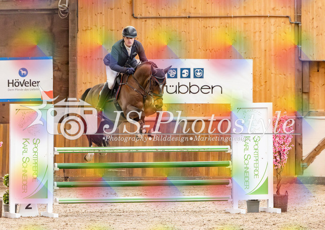 20260221_03_Springpferdeprfg KlL115-37 | JS-Photostyle - Sport-/Portrait- & Eventfotografie