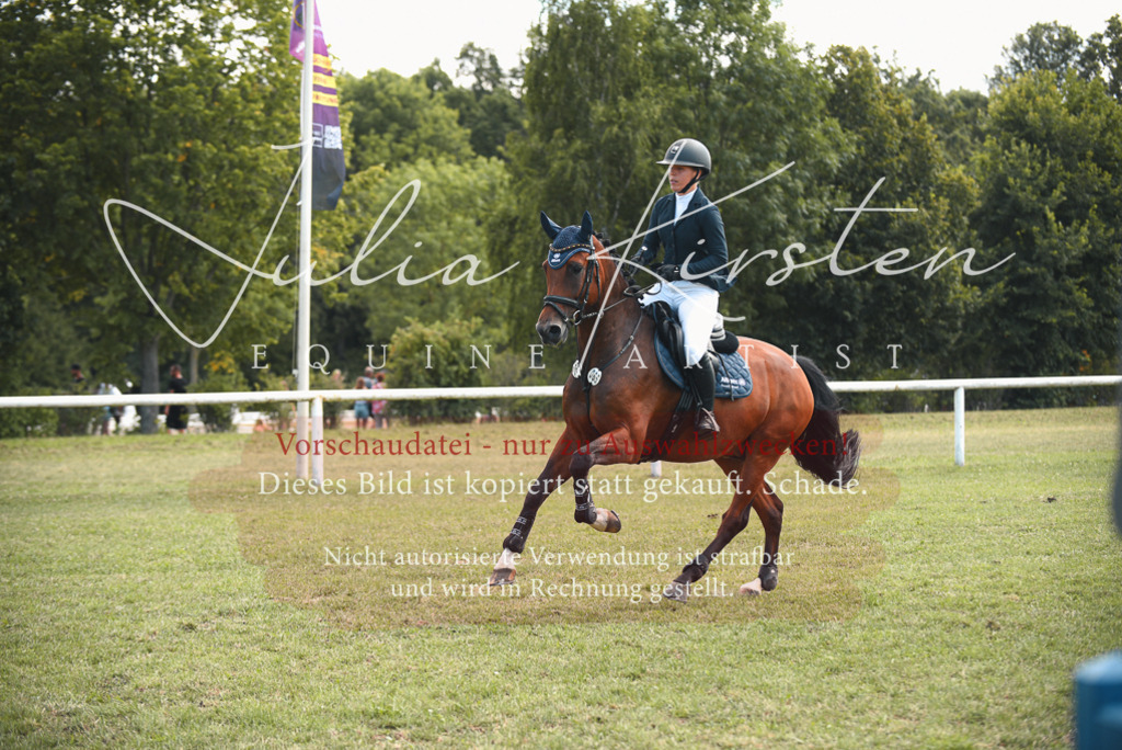 DSC_6454 | Pferde- und Turnierfotografie in Westsachsen. Pferdeportraits, Auftragszeichnungen und intuitive Kunst.
