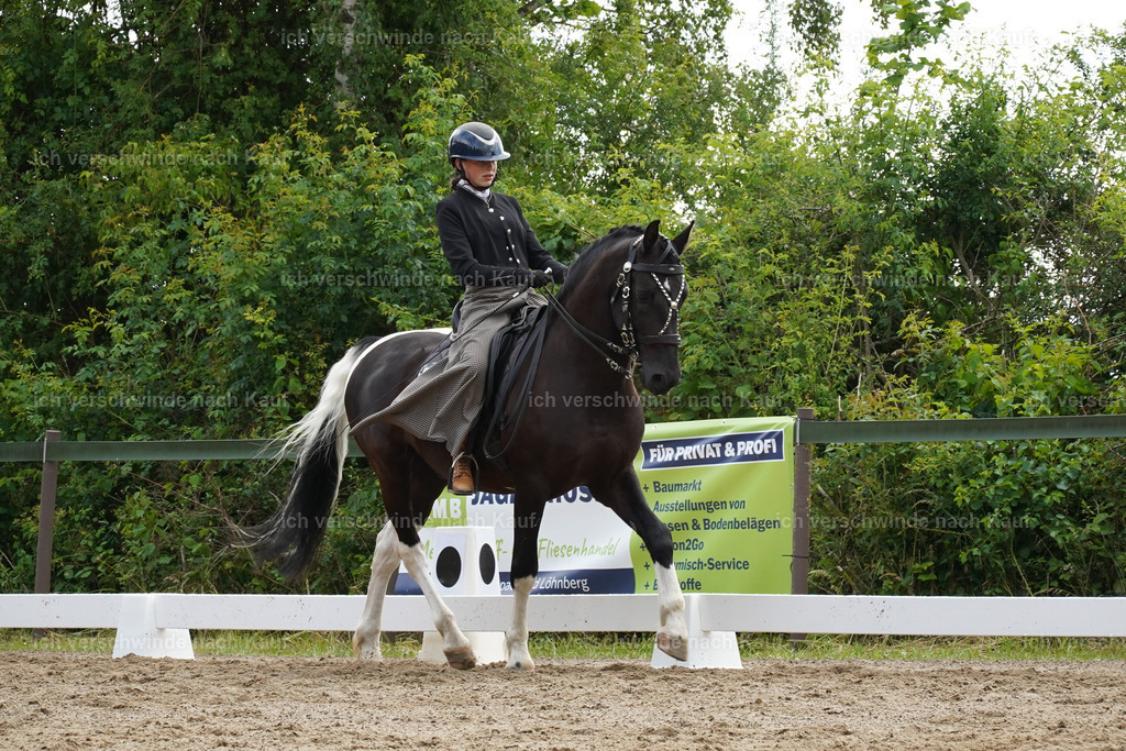 KlasseL_Lucie1068 | working equitationturnier fotograf videograf stoibphotography marixx film working equitation deutschland reitsport turnierfotografie eventfotografie equestrian events