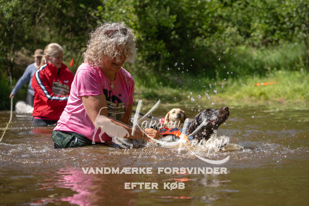1518DKK992907 | kk-dogfotos