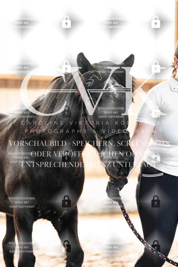 CK906519 | Turnierfotografie Pferdefotografie Trier Rheinland-Pfalz Pferdesport Reitsport Tierfotografie Sportfotografie Pferdevideo Pferdevideografie Equestrianvideography equestrianphotography  - Realisiert mit Pictrs.com
