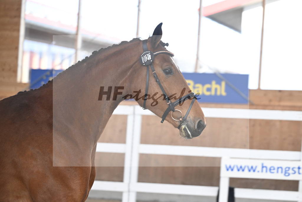 Kat-Nr. 27 Dakota H v. Vingino_Hoffmeister_14260859 | hf-fotografie - Realisiert mit Pictrs.com
