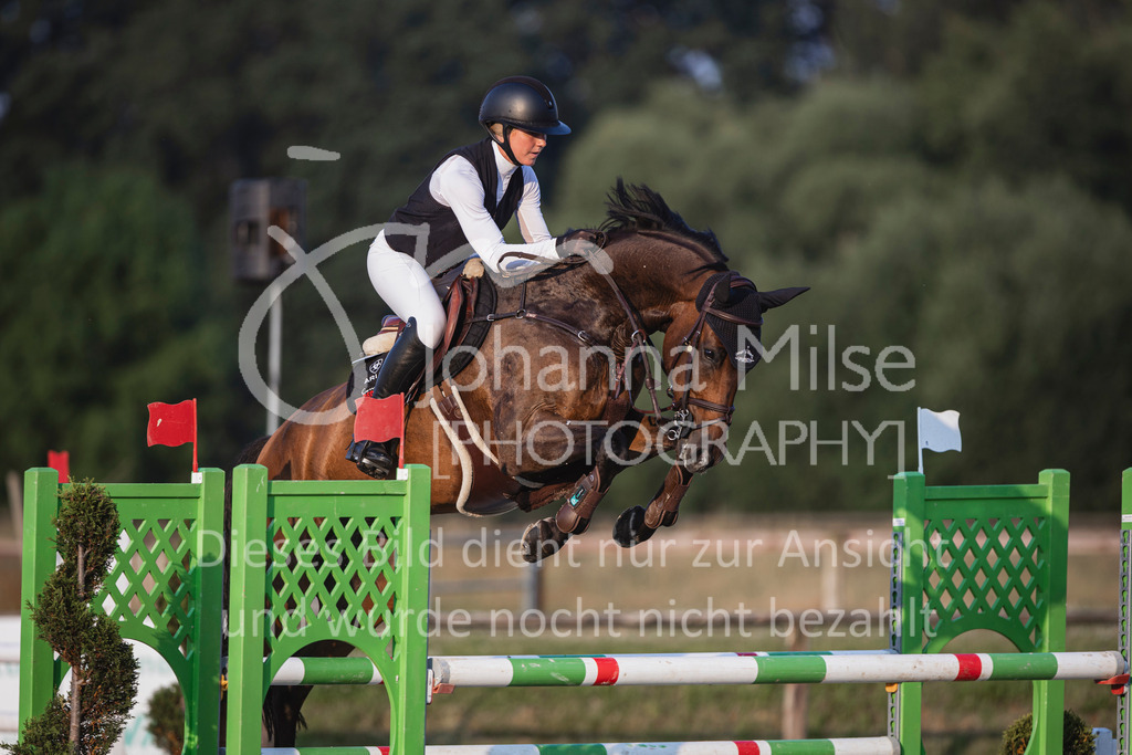 240627_LüPfSpTa_M1-Spr-334 | Deine schönsten Turniermomente als professionelle Fotos! Entdecke hochwertige Pferdesport-Fotografie im Online-Shop. Jetzt Fotos finden & bestellen!