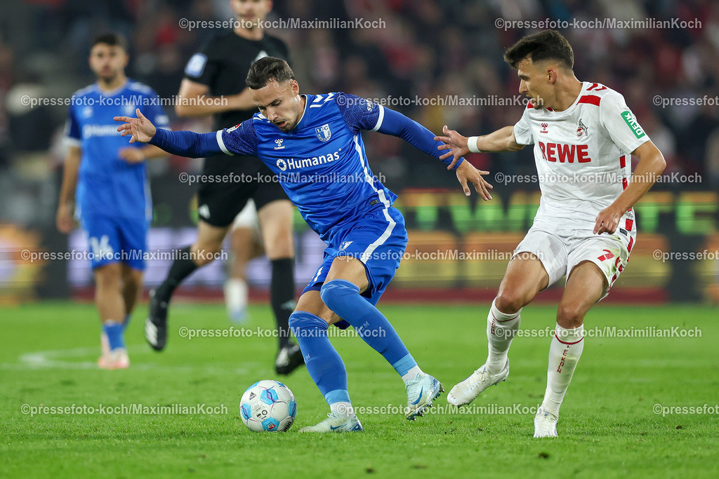 Koe14092401032 | 14.09.2024, 2. Fußball Bundesliga, 1. FC Köln - 1. FC Magdeburg, RheinEnergieSTADION, Saison 2024 2025: Zweikampf Falko Michel (1.FC Magdeburg #21) gegen Dejan Ljubicic (1.FC Köln #7)DFB regulations prohibit any use of photographs as image sequences and or quasi-video.