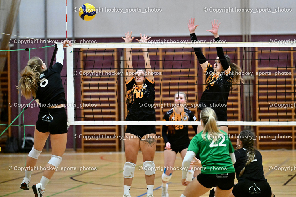 ASKÖ Volley Eagles Villach vs. VC Hausmannstätten | #8 MÖRTH Jasmin VC Hausmannstätten, #22 SAUER Sarah VC Hausmannstätten, #2 WAILLAND Katharina VC Hausmannstätten, #10 СЕНІС Еlwira ASKÖ Volley Eagles Villach, #5 JANESCHITZ Johanna ASKÖ Volley Eagles Villach, ASKÖ Volley Eagles Villach vs. VC Hausmannstätten, ASKÖ Volley Eagles Villach vs. VC Hausmannstätten am 01.02.2025 in Villach (Ballspielhalle Lind), Austria, (Photo by Bernd Stefan)