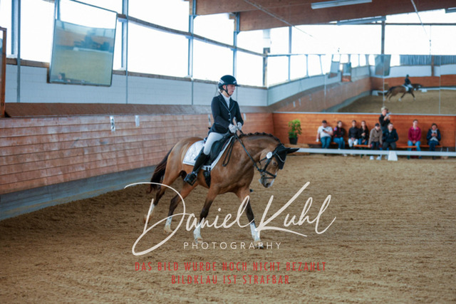 _62_5365 | Turniersportfotografie; Pferdefotografie; Dressurfotografie