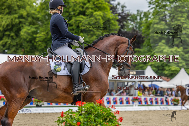 25.7.25 D1 59 (133 von 1569) | mandyhollmannphotographie