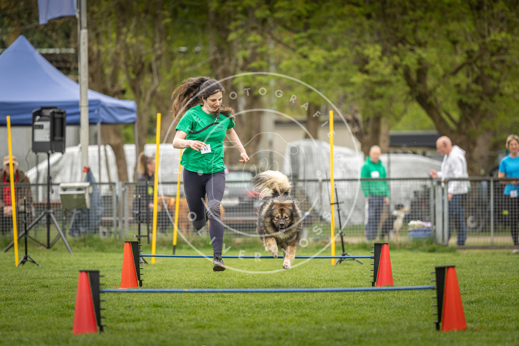 Pfotenfotografie_DV3A2465 | Hundefotografie, Tierfotograf, Pfotenfotografie, Fotoshooting Hund, Hunde Portrait, Hundesport, Hundeportraits, Heideshooting, Hunde, Sportfotograf, Hundefotograf, Turnierhundsport, THS,  - Realisiert mit Pictrs.com