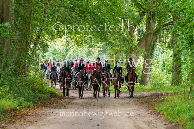 Jagd Perdoel 26 Sony-03876_MarinaHewig | Fotografie, FotoArt, PferdesportArt, Pferdesportfotografie, Landschaftsfotografie, Reisefotografie, Reise, Pferde - Realisiert mit Pictrs.com