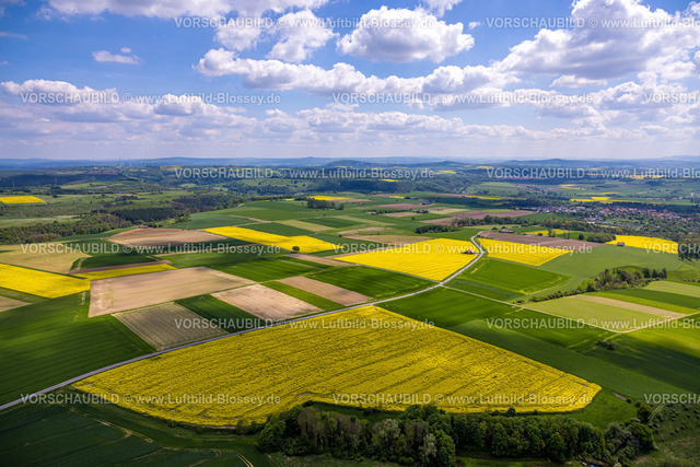 Borgentreich240504926Feldlandschaft | Luftbild, kachelförmige grüne Wiesen und Feldlandschaft mit gelben Rapsfeldern, Natinger Straße mit Motorradfahrer Gruppe und Hütte am Wegesrand, Fernsicht mit blauem Himmel und Wolken, Natingen, Borgentreich, Ostwestfalen, Nordrhein-Westfalen, Deutschland