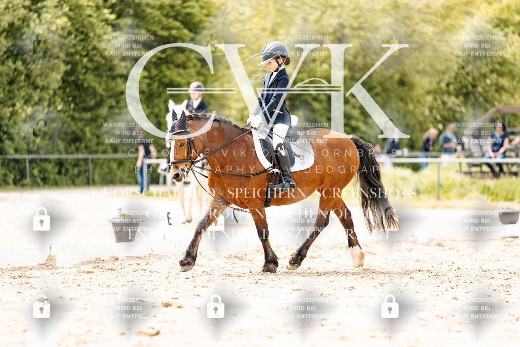 CK902321 | Turnierfotografie Pferdefotografie Trier Rheinland-Pfalz Pferdesport Reitsport Tierfotografie Sportfotografie Pferdevideo Pferdevideografie Equestrianvideography equestrianphotography  - Realisiert mit Pictrs.com