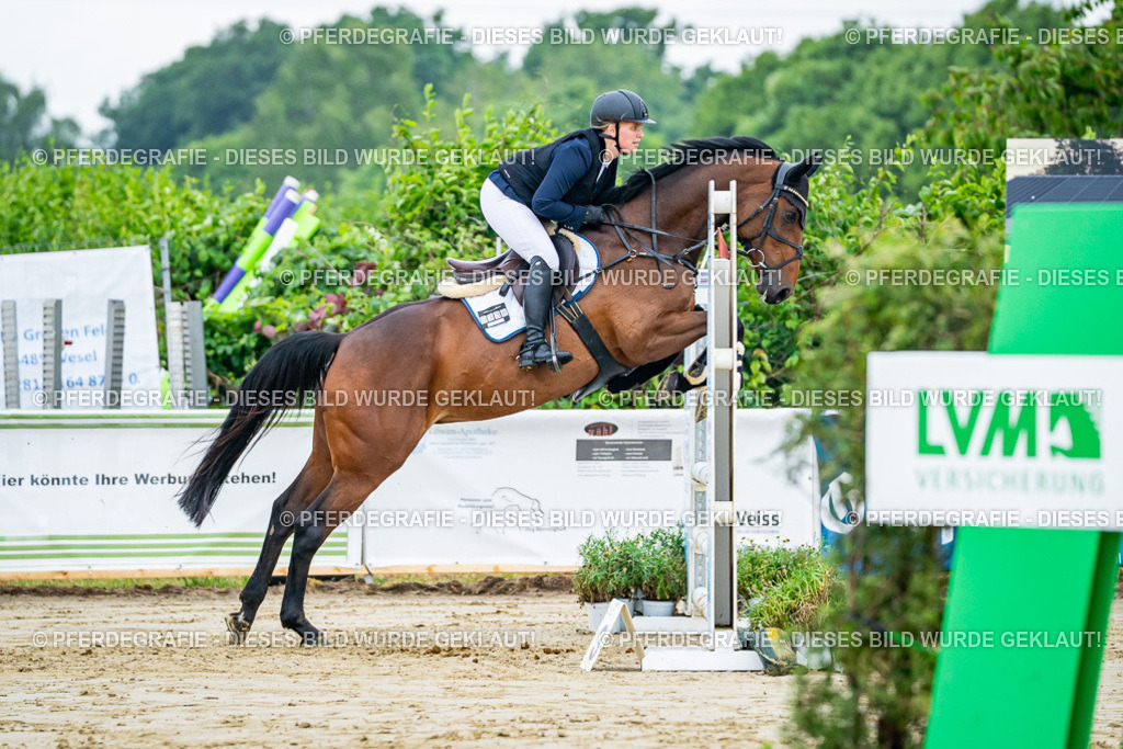 DSC02184 | Pferdegrafie