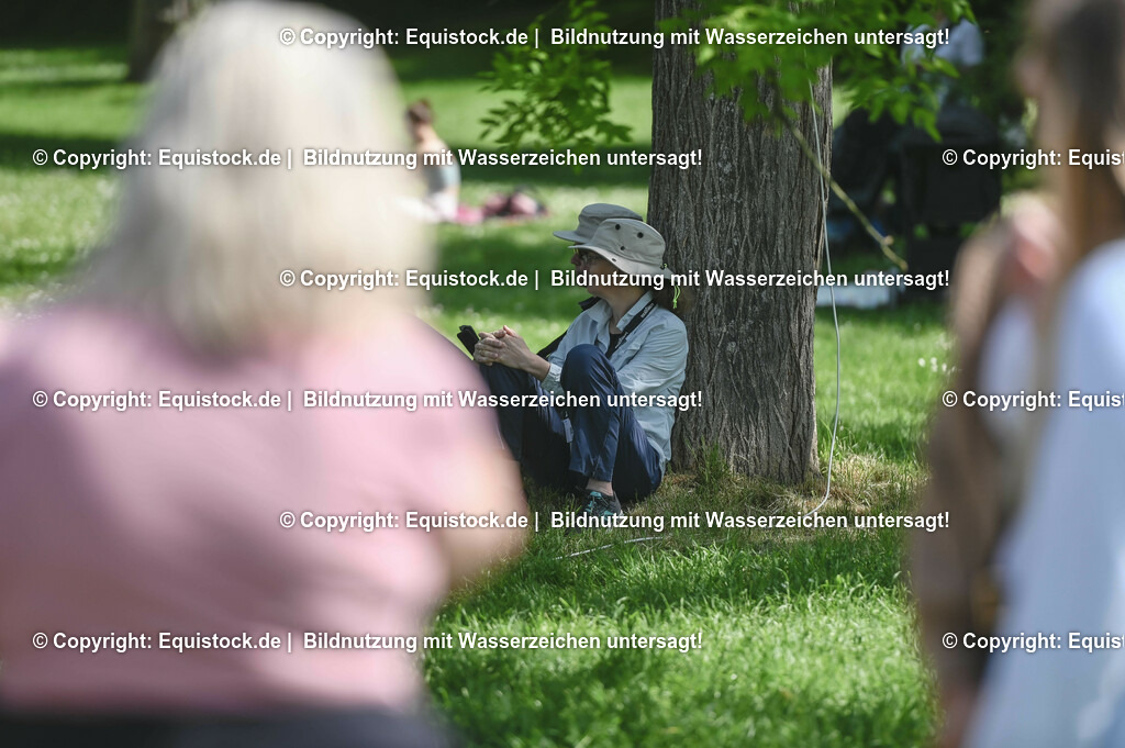 D78_2906 | equistock