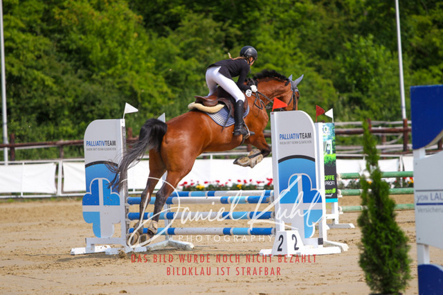 DKP41317 | Turniersportfotografie; Pferdefotografie; Dressurfotografie