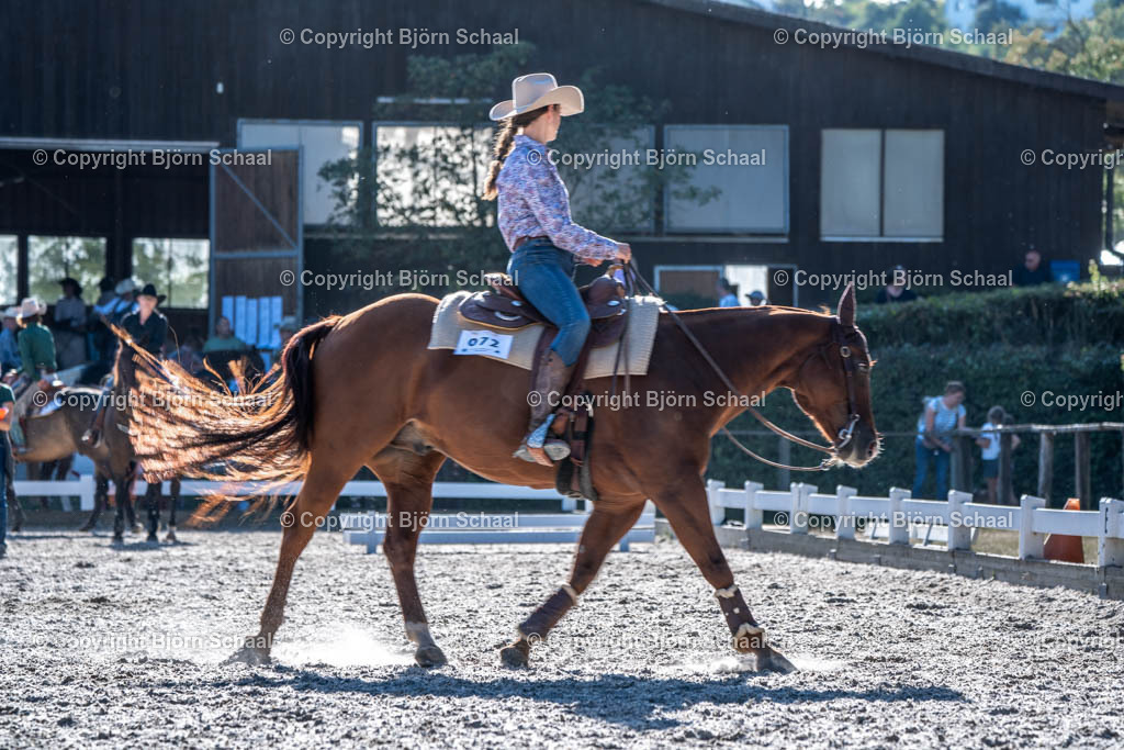 HOB09672 | BS-foto