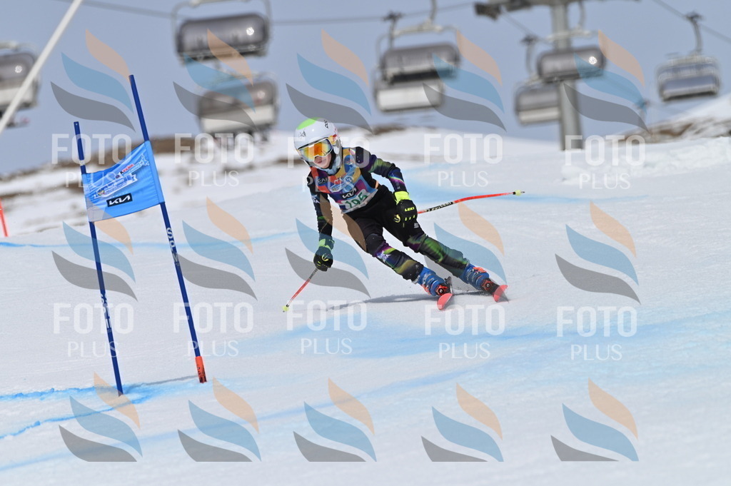 BGV_3747 | holidayphoto