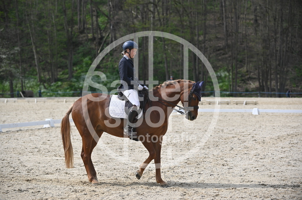 DSC_4508 | sattelsport - Realisiert mit Pictrs.com