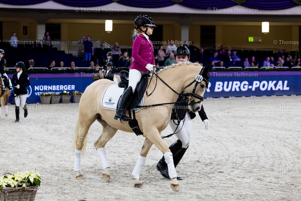 TH_Nürnberger Burgpokal Führzügelwettbewerb_13255 | Nürnberger Burgpokal Führzügelwettbewerb beim Festhallen Reitturnier Frankfurt 2023 am 15.12.23 in Frankfurt, Festhalle