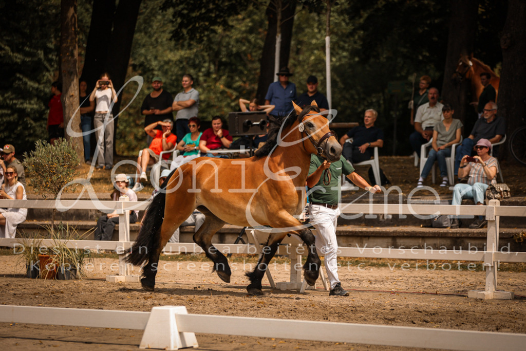 2.Sa00075 | Leoni Ertmer Photography - Realisiert mit Pictrs.com