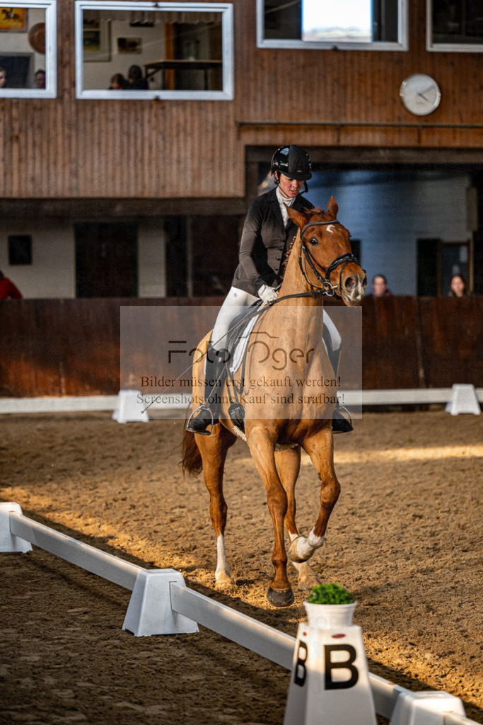 20240308-DOS_4713 | Entdecke hochwertige Reitturnierfotos von Foto Oger. Professionell, emotional und authentisch – jetzt Lieblingsmomente im Shop bestellen.Deutschlandweite Turnierfotografie. - Realisiert mit Pictrs.com