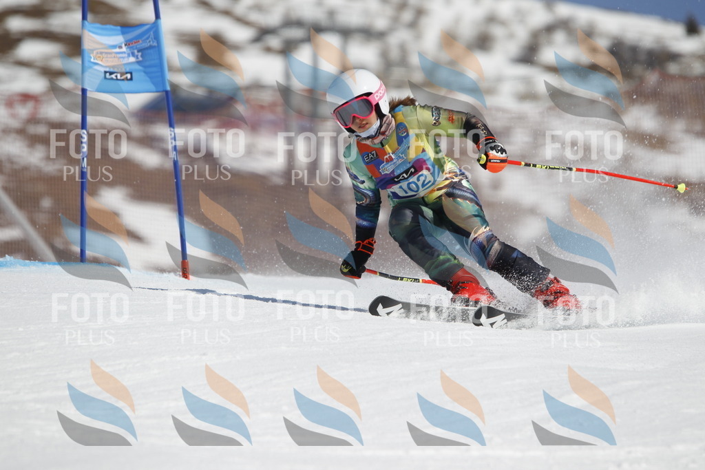 _U3G0353 | holidayphoto