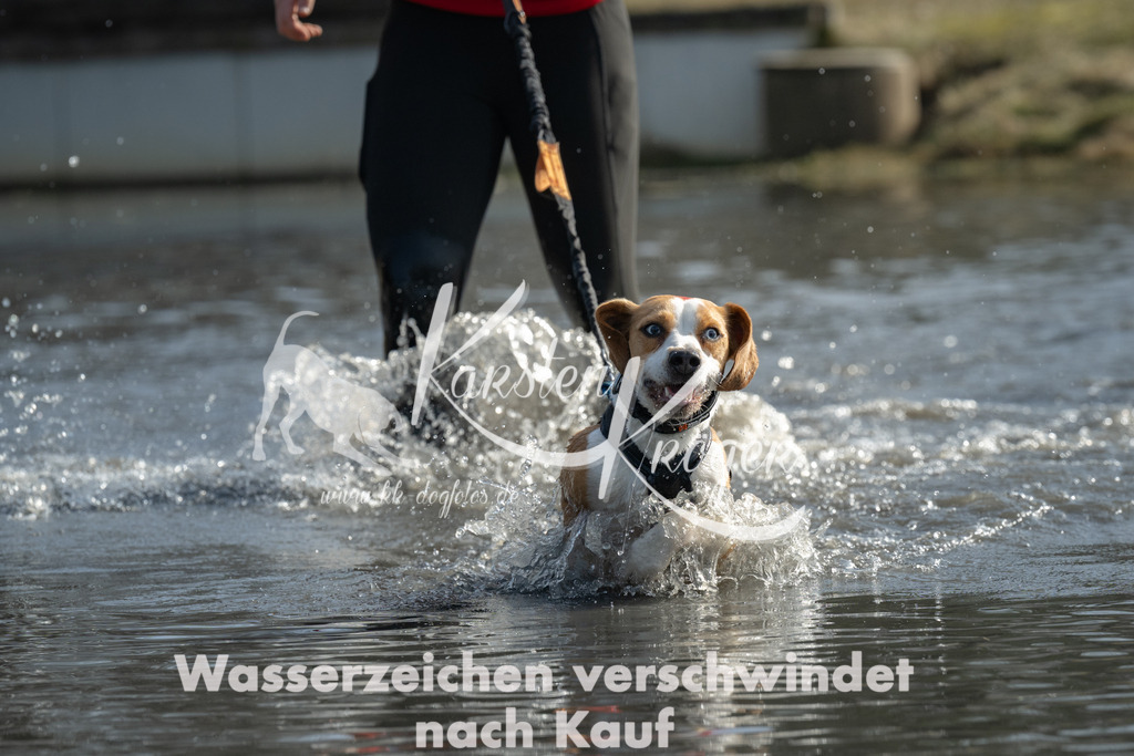 1210_ZZ98374 | kk-dogfotos