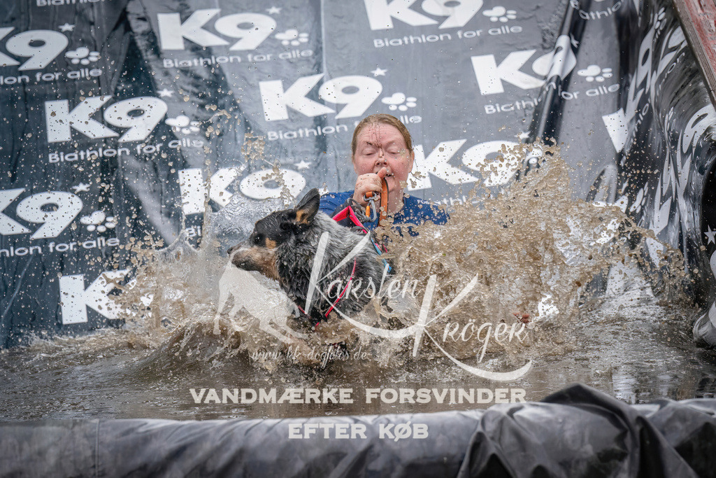 1224_ZZ94949 | kk-dogfotos