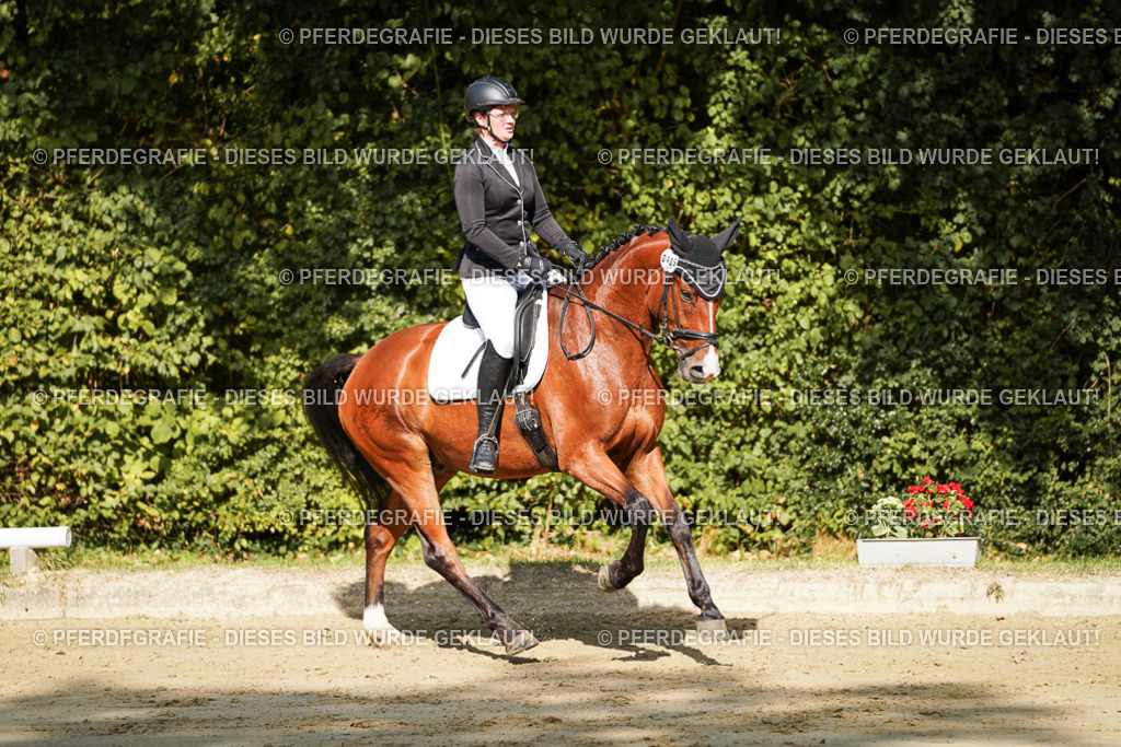 DSC08354 | Pferdegrafie