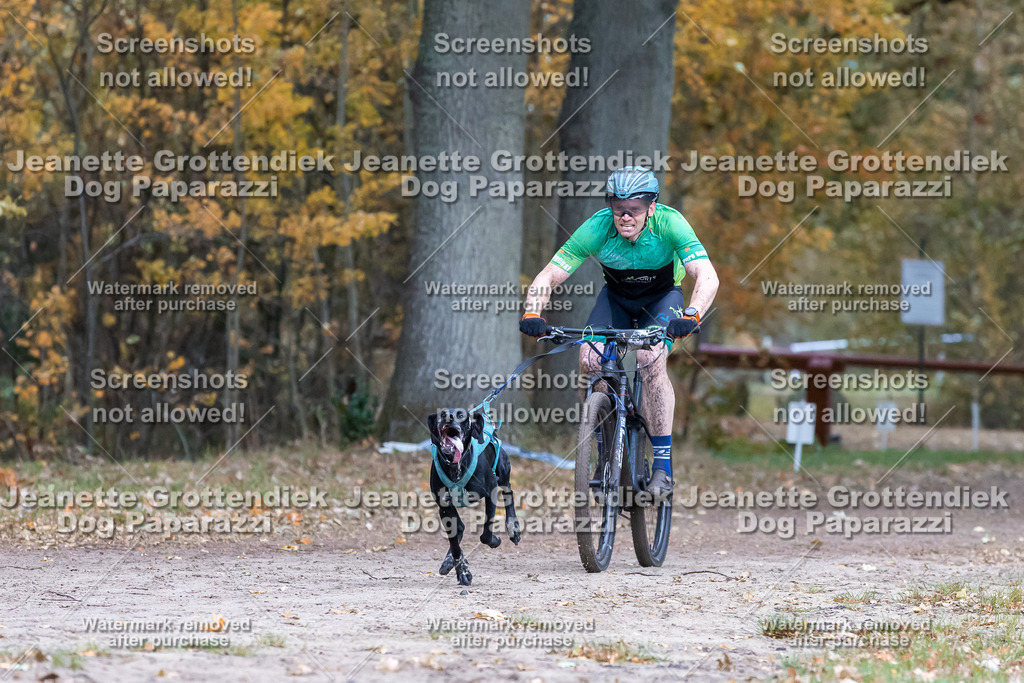 Dog Paparazzi - SD CaniX Championship 2025-207 | Dog Paparazzi Jeanette Grottendiek Fotografie & Videografie - Realisiert mit Pictrs.com