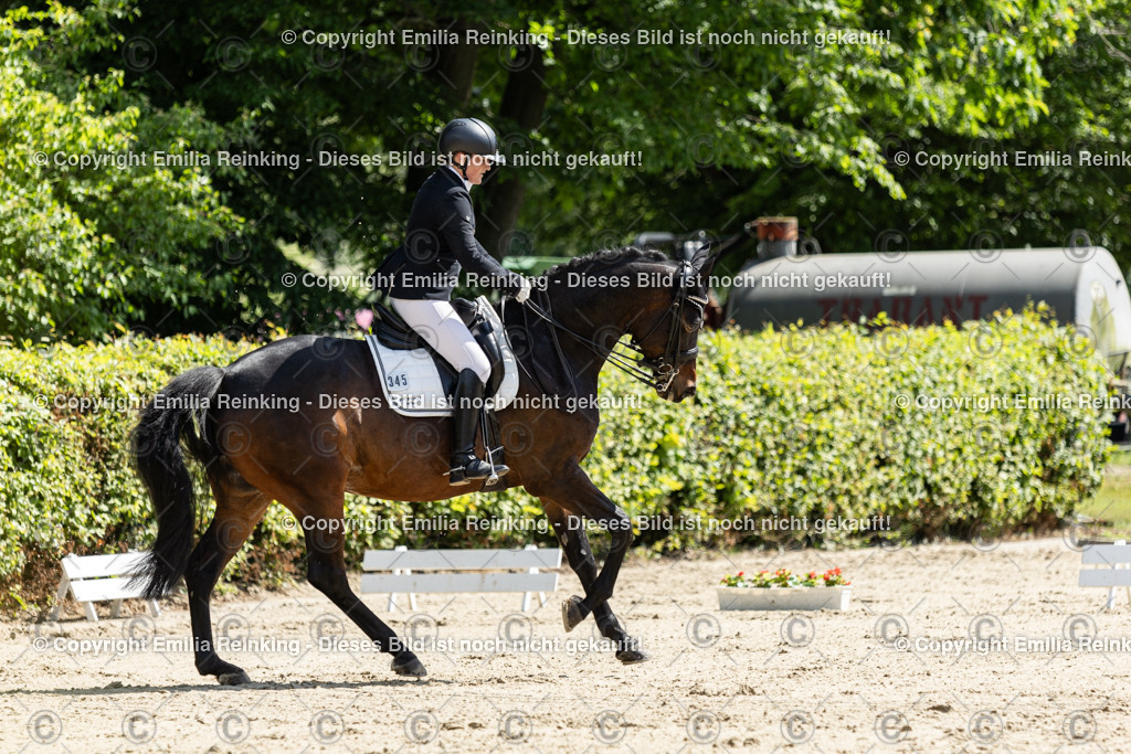 CL5A8011 | Emilia Reinking Fotografie - Realisiert mit Pictrs.com