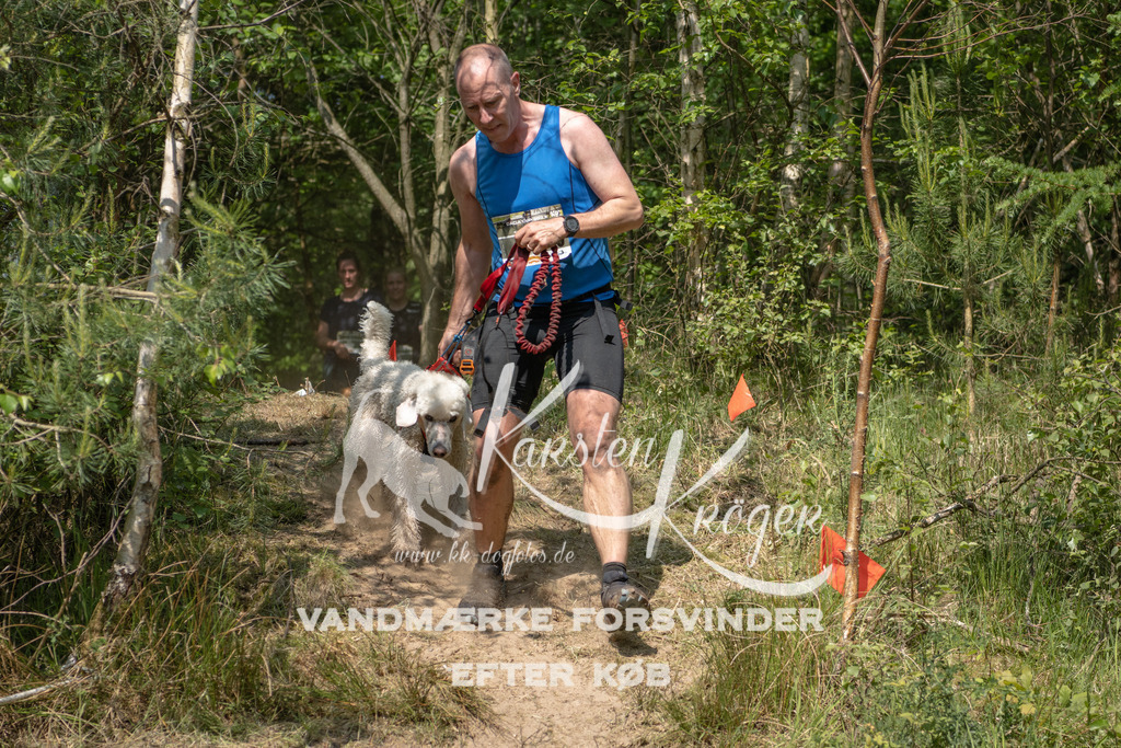 1045DKK991339 | kk-dogfotos