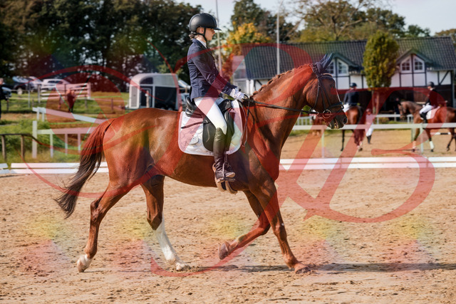 2026_10_03_Siefer-Hof_123418_Z63_52737473 | Professionelle Reitsport-, Turnier- und Eventfotografie von Robert Broda. Galerien mit ausgewählten und bearbeiteten Bildern direkt online ansehen und bestellen.