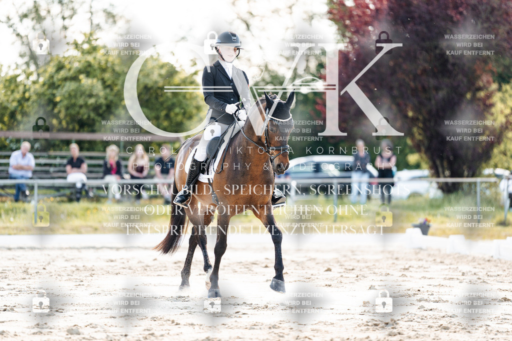 CK909508 | Turnierfotografie Pferdefotografie Trier Rheinland-Pfalz Pferdesport Reitsport Tierfotografie Sportfotografie Pferdevideo Pferdevideografie Equestrianvideography equestrianphotography  - Realisiert mit Pictrs.com