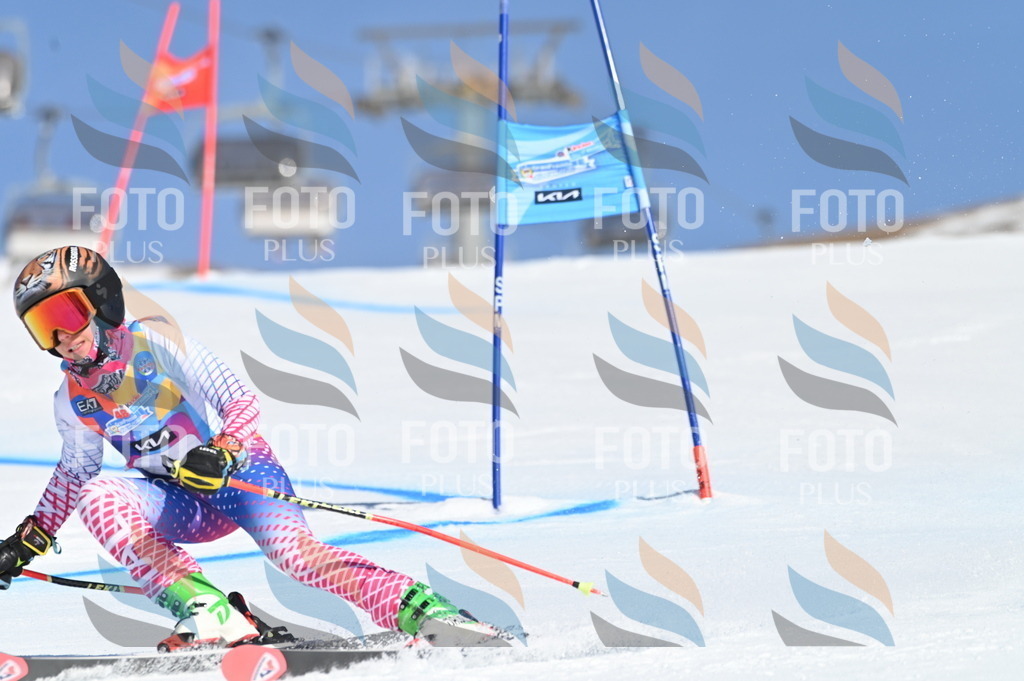 BGV_7553 | holidayphoto