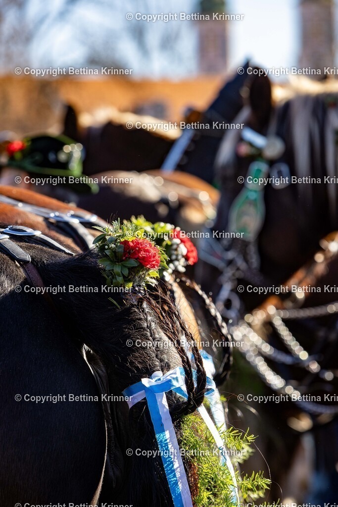 LBT25-964 | foto-bettina-krinner - Realisiert mit Pictrs.com