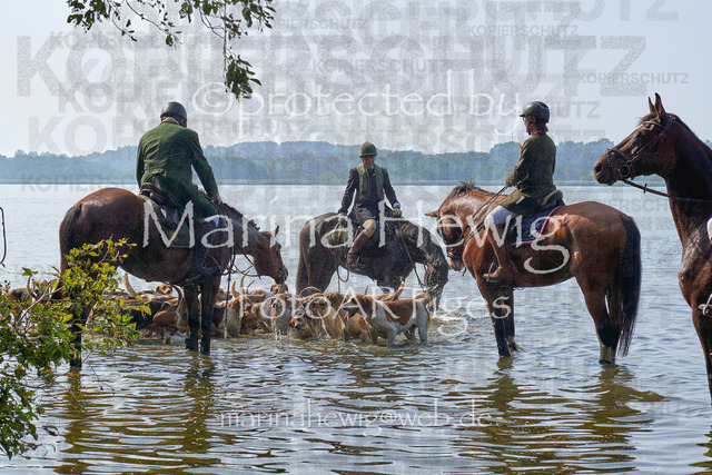 09-23 JAgd PerdölDSC02226_Marina Hewig | Fotografie, FotoArt, PferdesportArt, Pferdesportfotografie, Landschaftsfotografie, Reisefotografie, Reise, Pferde - Realisiert mit Pictrs.com