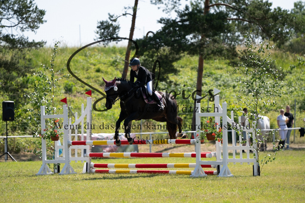 A7V05572 | Pferdefotograf