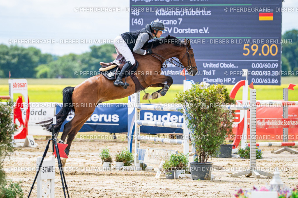 DSC04831 | Pferdegrafie