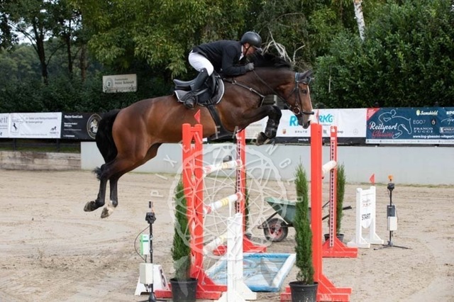 2B4A1173 | pixelfaenger - Realisiert mit Pictrs.com