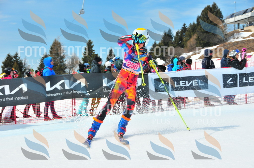 DSC_6164 | holidayphoto