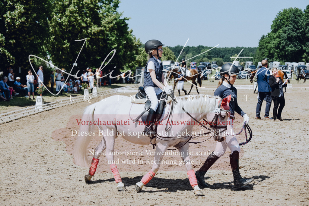 DSC_2470 | Pferde- und Turnierfotografie in Westsachsen. Pferdeportraits, Auftragszeichnungen und intuitive Kunst.